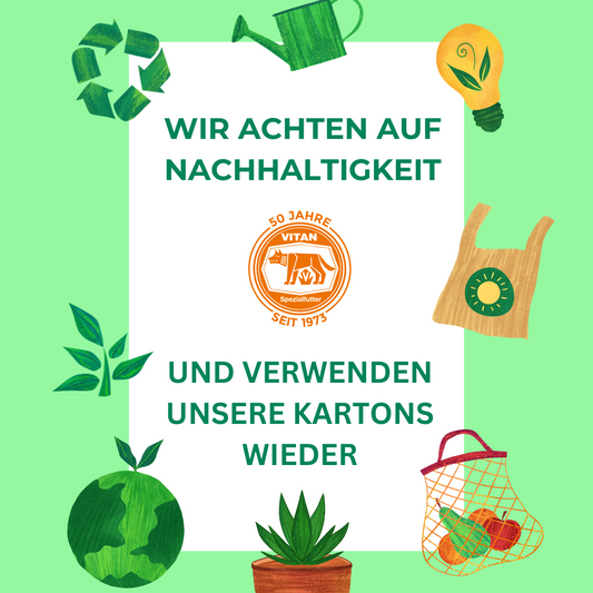 Wir geben unseren Kartons ein zweites Leben