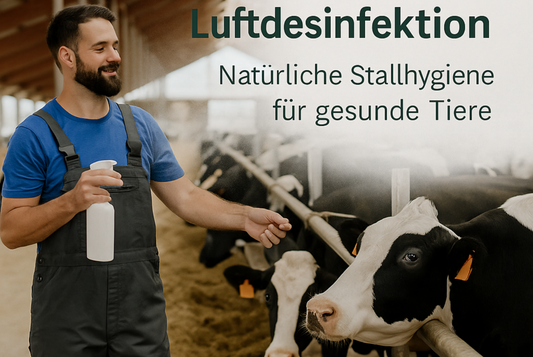 Vitan Luftdesinfektion – Natürliche Stallhygiene für gesunde Tiere