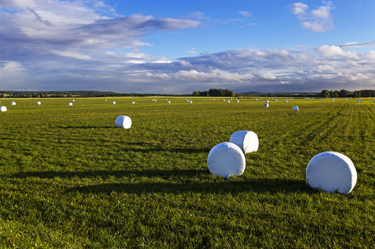 Silo solve: Höchste Qualität, Tiergesundheit, Top-Performance!