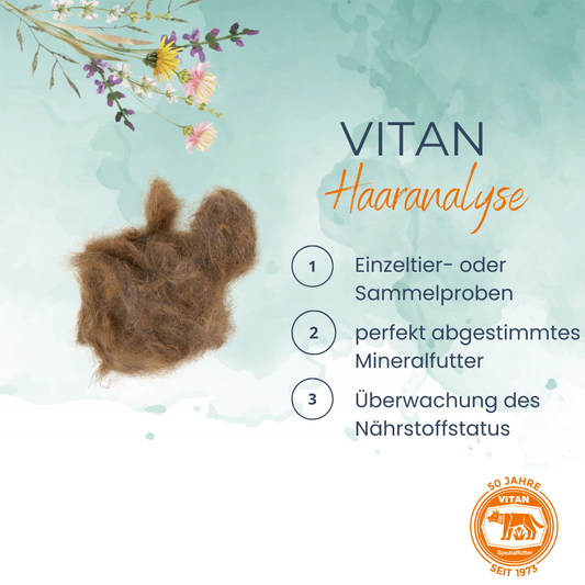 Mineralstoffanalyse für Tiere – Haaranalyse zur Nährstoffoptimierung