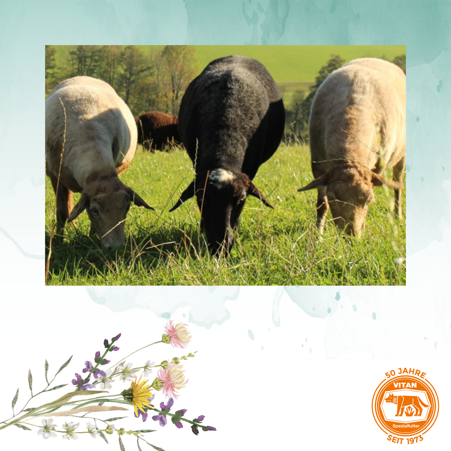 VITAN R Spezial – Mineralfutter mit organisch gebundenem Selen für Schafe ohne Kupfer, 15 kg (bio tauglich)