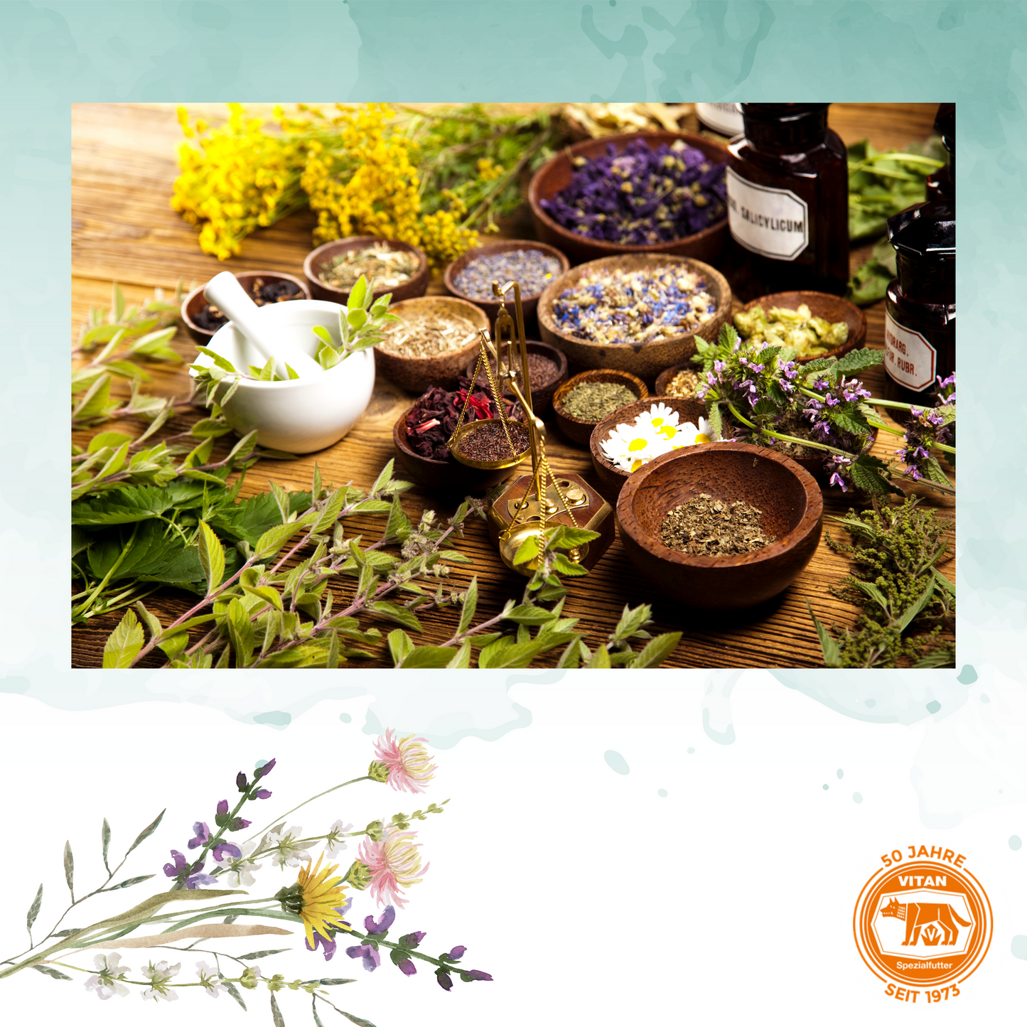 Bronchio vital - Kräuterergänzungsfutter für Atemwege und Vitalität bei Nutztieren (bio tauglich)