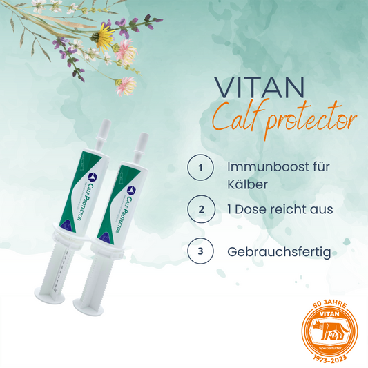 Starten Sie Ihre Kälber optimal mit 'Calf Protector', dem essenziellen Nahrungsergänzungsmittel, das neugeborenen Kälbern einen gesunden Start sichert. Mit BHV1-freiem Kolostrum, probiotischen Stämmen und vitalen Nährstoffen unterstützt es die Immunisierung, fördert eine gesunde Darmflora und liefert notwendige Energie. Jetzt mit gratis Versand bei Vitan bestellen!