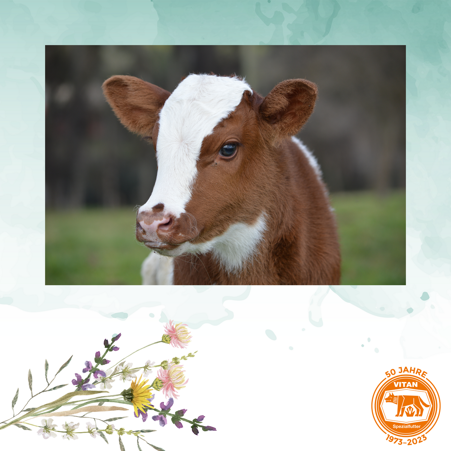 Schützen Sie die Gesundheit Ihrer Kälber mit 'D-BOLUS', einem speziell entwickelten Ergänzungsmittel, das Natriumbicarbonat enthält, um das Säure-Basen-Verhältnis zu optimieren. Ideal für die Stabilisierung des Wasser- und Elektrolythaushalts und die Unterstützung der Verdauung bei Durchfall. Jetzt bei Vitan erhältlich, garantiert eine einfache Anwendung und bietet vorbeugende sowie therapieunterstützende Wirkung.