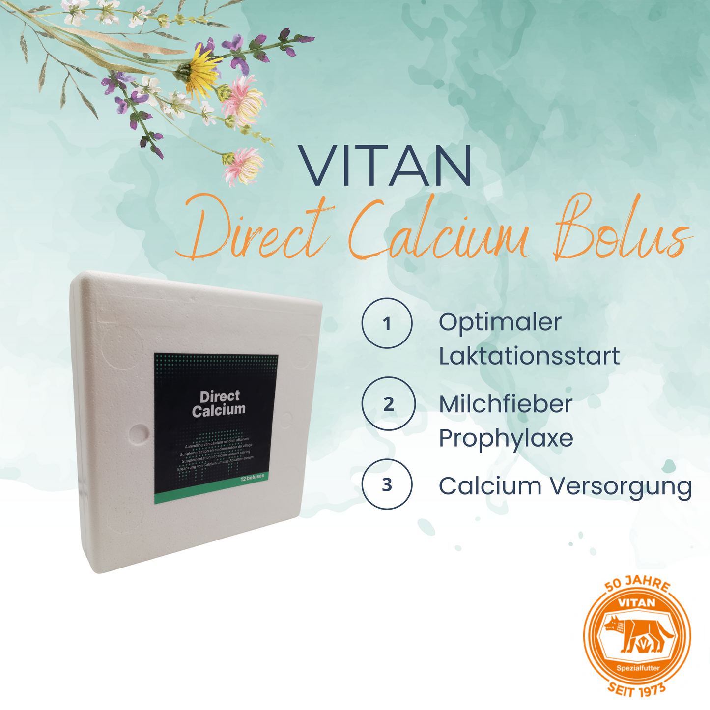 Direct Calcium Bolus (12 Stück)