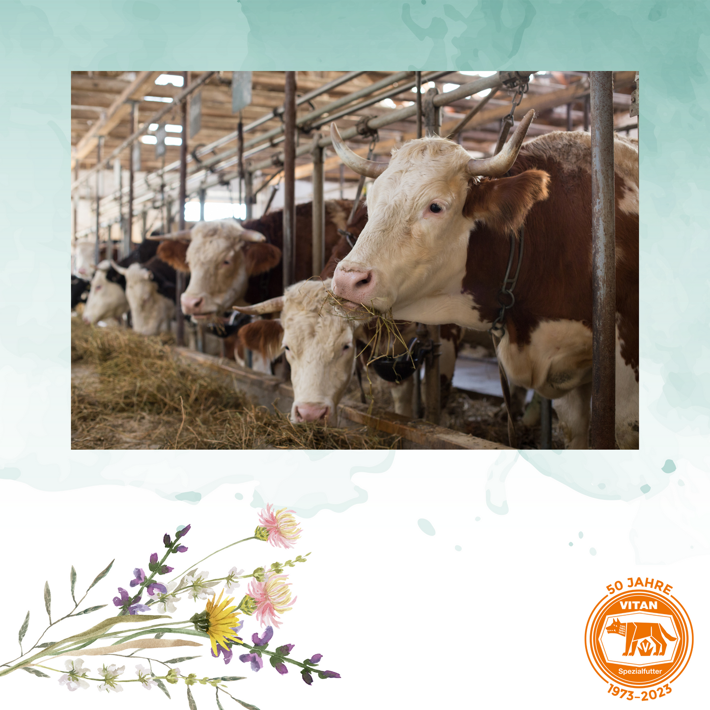 Entdecken Sie die 'Robuste Kunststoff-Futterschaufel' – das perfekte Werkzeug für jeden Tierhalter, um die tägliche Fütterungsroutine zu erleichtern. Aus hochwertigem, langlebigem Kunststoff gefertigt, bietet diese Schaufel mit ergonomischem Griff eine praktische und hygienische Lösung für alle Arten von Futtermitteln. Spülmaschinenfest und vielseitig einsetzbar, ideal für Trockenfutter, Körner und Pellets. Erhältlich bei Vitan, verbessern Sie Ihre Futterverwaltung effizient und komfortabel.