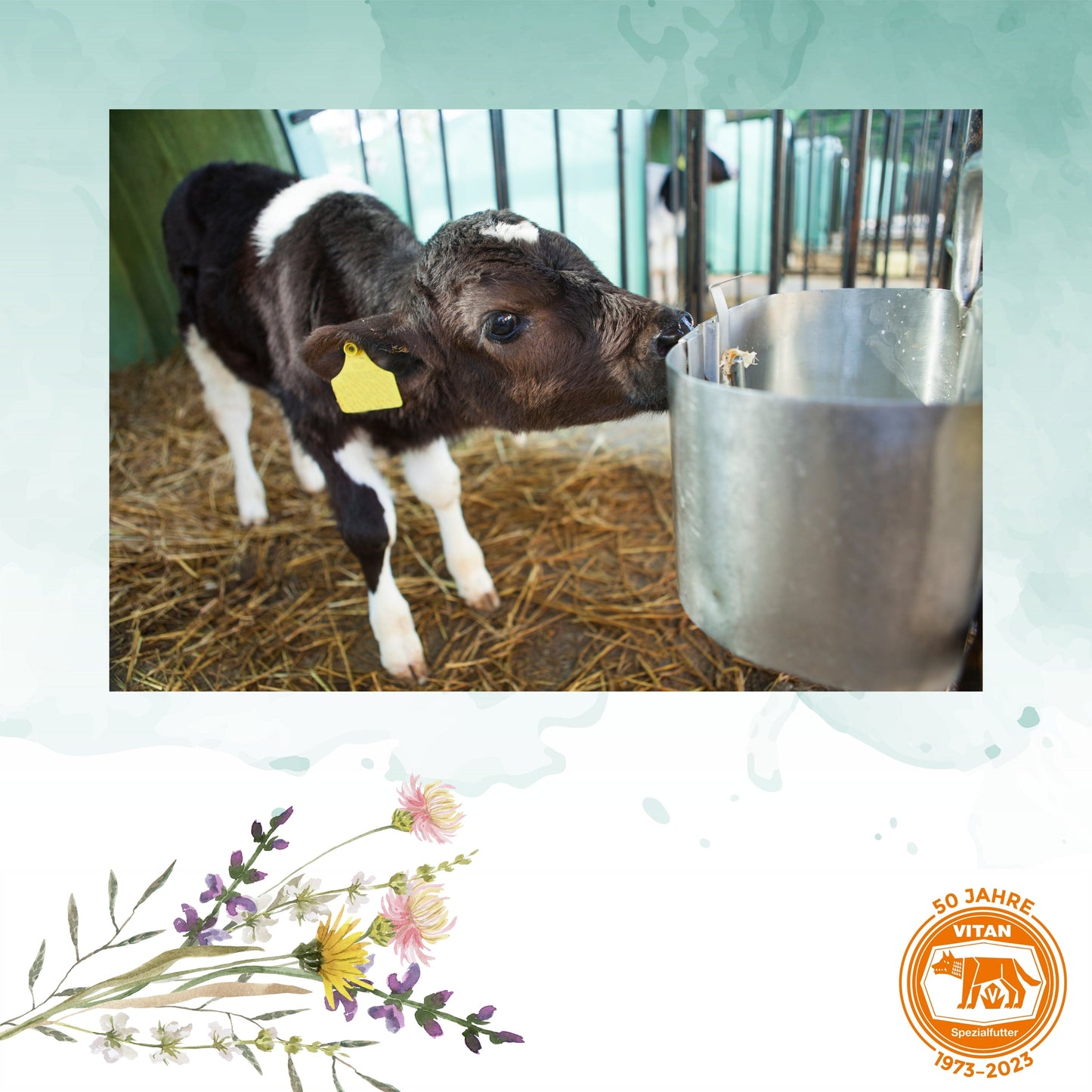 Vitan Kälber Vita Fix – Ergänzungsfuttermittel zur Unterstützung von Fresslust und Entwicklung