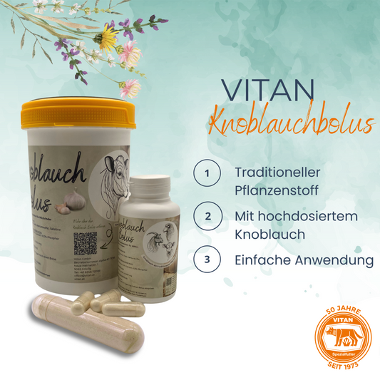 Knoblauch-Bolus für Milchrinder – Mineralfutter zur Unterstützung von Laktation & Trockenstellen
