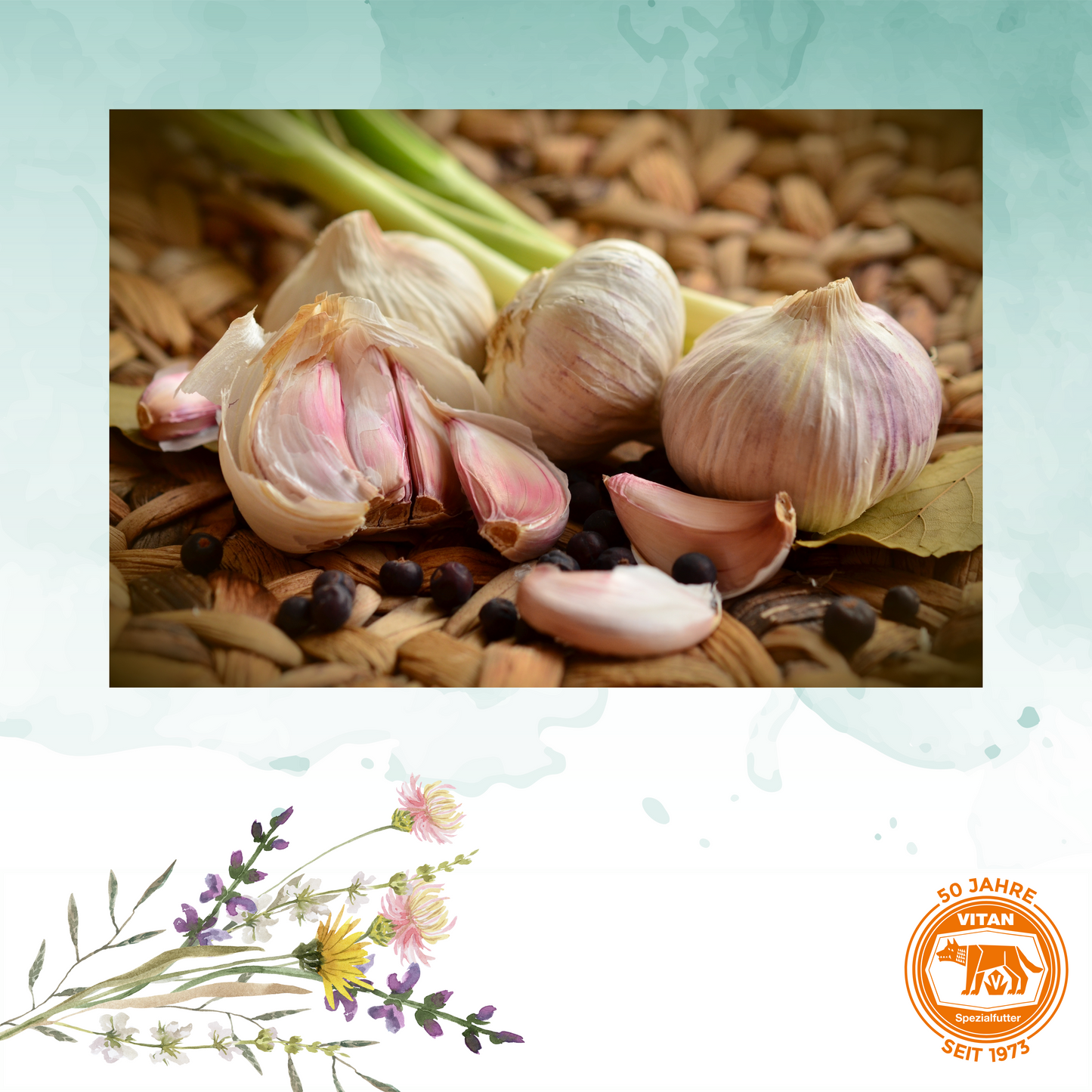 Knoblauch Bolus