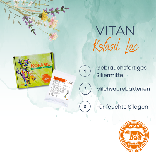 KOFASIL LAC 100 g – wenn du eine schnelle und sichere Gärung brauchst.