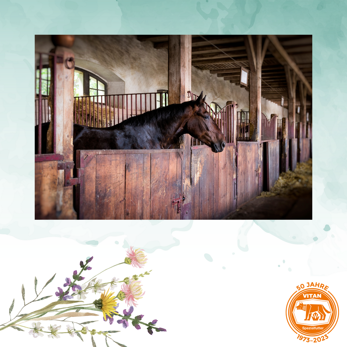 Verbessern Sie die Luftqualität in Ihren Stallungen mit der Vitan Luftdesinfektion. Diese Lösung nutzt natürliche Kräuter, um die Atemwege Ihrer Tiere zu beruhigen und vor Atemerkrankungen zu schützen. Einfach anzuwenden, bietet sie sofortige Linderung und fördert langfristig eine gesunde Stallumgebung.