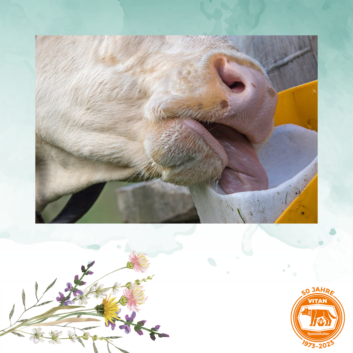 Sichern Sie die Gesundheit und Produktivität Ihrer Tiere mit unserem Mineralleckstein, ideal für Wild, Rinder, Schafe und Ziegen. Dieser Leckstein liefert eine ausgewogene Zufuhr von Salz und essentiellen Spurenelementen wie Zink, Eisen und Selen, unterstützt die Flüssigkeitsbalance und fördert die Gesundheit. Einfach zu nutzen in Weidegebieten oder Stallungen.