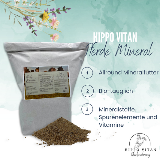 Hochwertiges Pferde-Mineralfutter für umfassende Gesundheit und Leistung. Bild zeigt die Verpackung des Mineralfutters und die Anwendung bei Pferden.