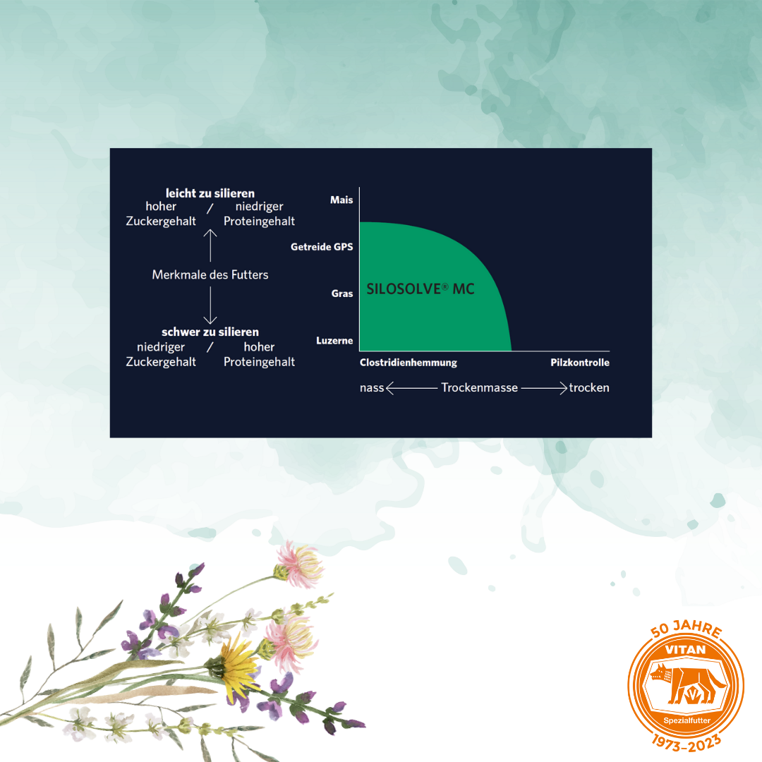 SILOSOLVE® MC Siliermittel für optimierte Fermentation und Schutz vor Gärschädlingen. Bild zeigt Verpackung des Siliermittels, geeignet für feuchte Erntebedingungen und verschiedene Silagearten.