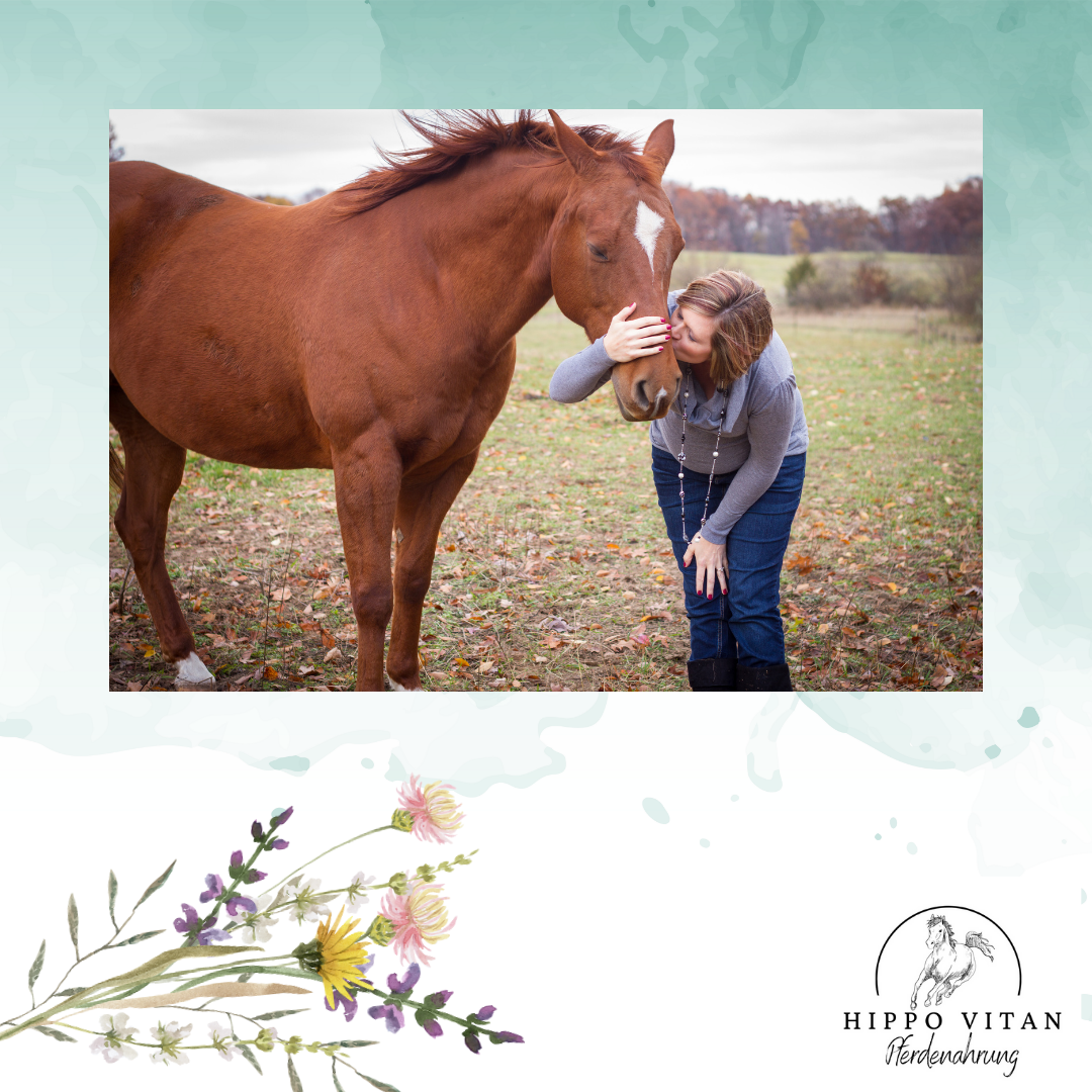 Gravida Spezial Pferdefutter zur Förderung der Fruchtbarkeit. Bild zeigt die Verpackung des Futters, ideal für trächtige Stuten und Zuchthengste, mit Beta Karotin und B-Vitaminen.