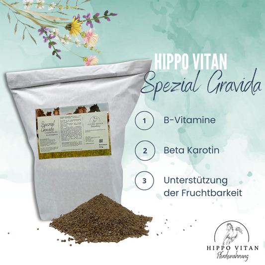 Gravida Spezial Pferdefutter zur Förderung der Fruchtbarkeit. Bild zeigt die Verpackung des Futters, ideal für trächtige Stuten und Zuchthengste, mit Beta Karotin und B-Vitaminen.