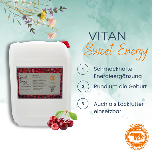Sweet Energy – Flüssige Energieergänzung für Milchkühe zur besseren Futteraufnahme