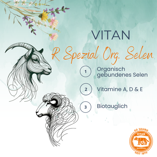 Ziegen Sommer - gezielte Versorgung während der Weidezeit (bio tauglich)