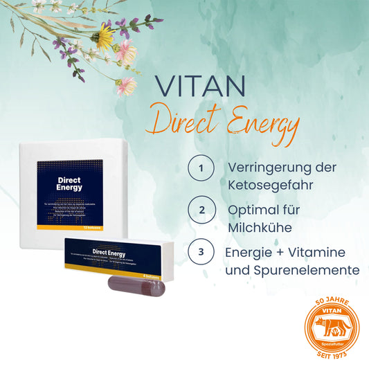 DIRECT ENERGY BOLUS für Milchkühe – Ketoseprophylaxe & Energiestoffwechsel stabilisieren rund um die Abkalbung (12 Stück)