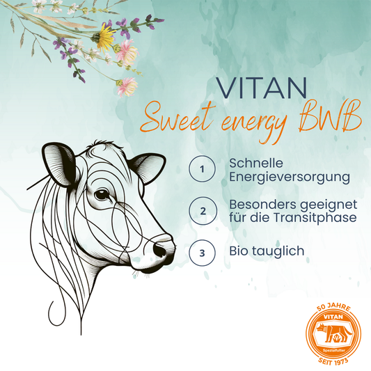Sweet Energy BWB - Flüssiges Energieergänzungsfutter zur Ketoseprophylaxe bei Wiederkäuern (bio tauglich)