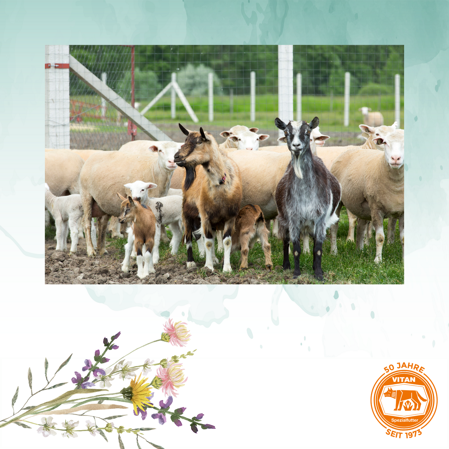 VITAN R Spezial – Mineralfutter mit organisch gebundenem Selen für Ziegen, 15 kg (bio tauglich)