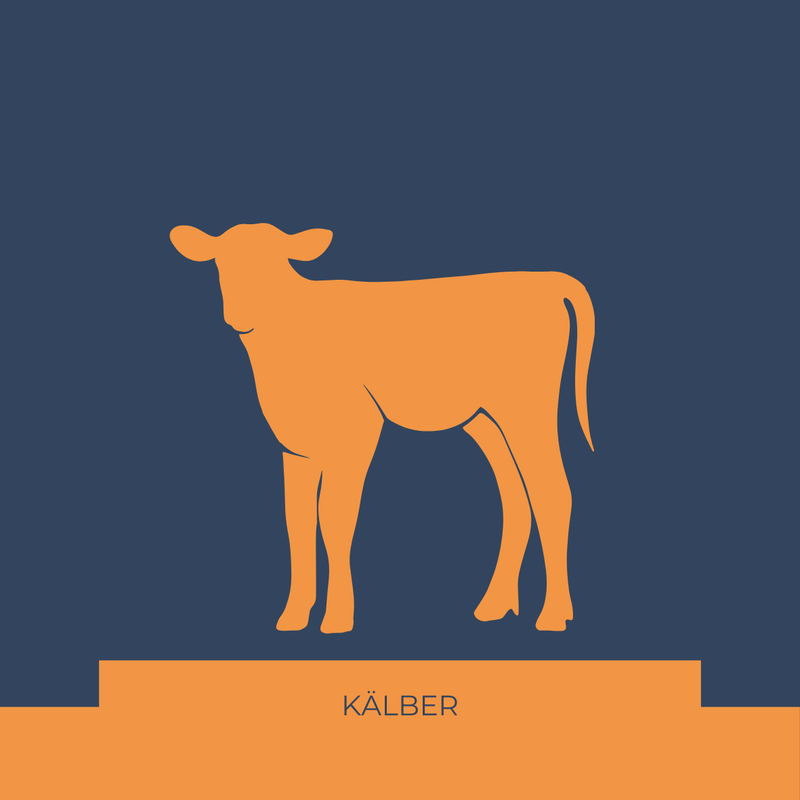 Kälber
