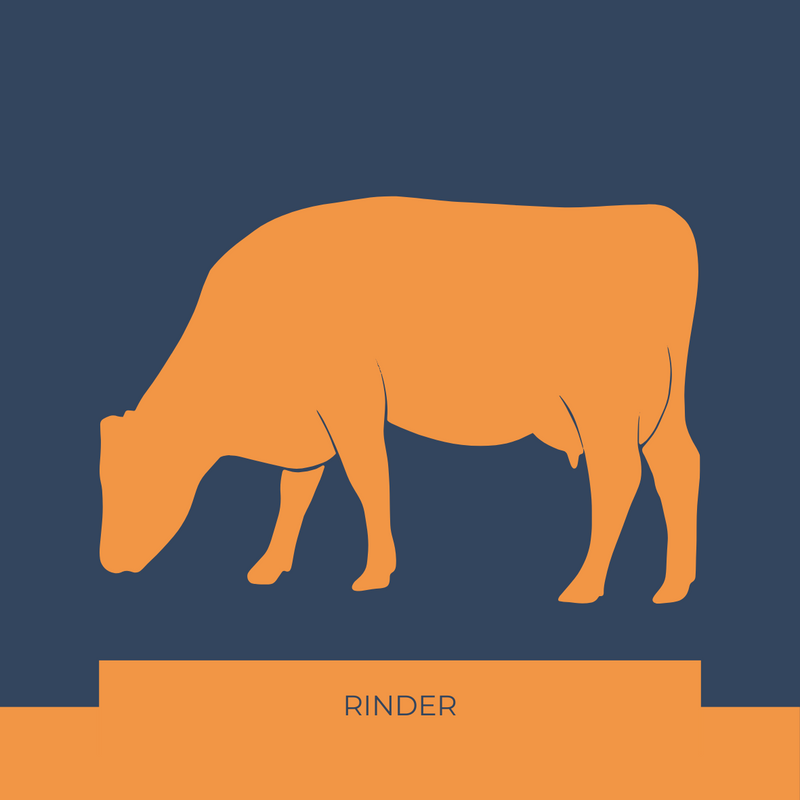 Rinder