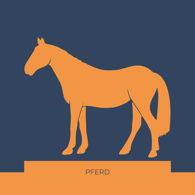 Pferde