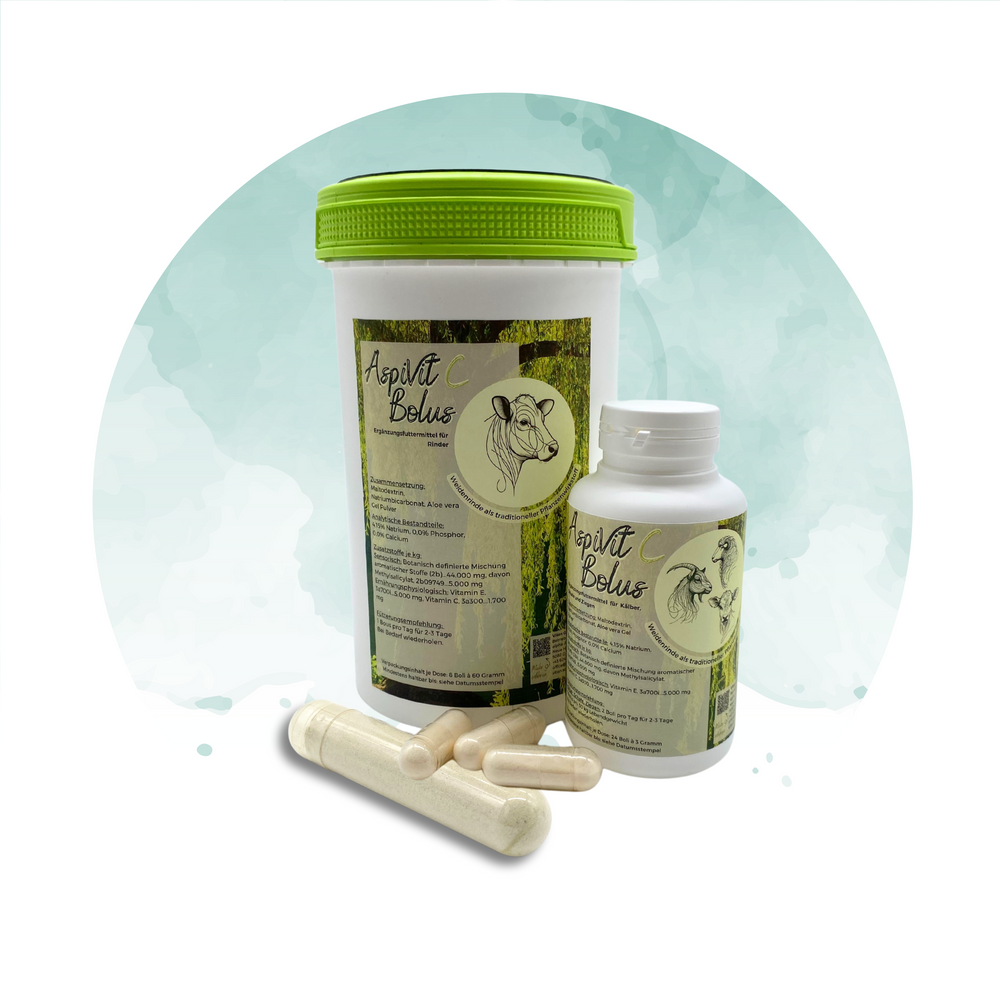 AspiVit C Bolus