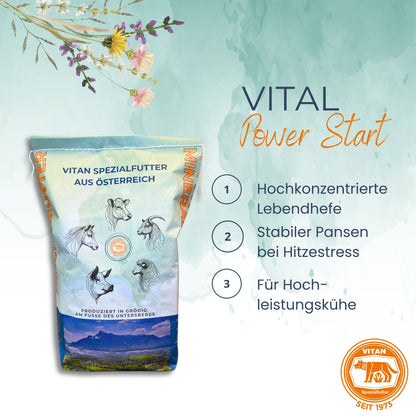 VITAN Vital Power Start – Ergänzungsfutter mit hochkonzentrierter Lebendhefe für Milchkühe bei Hitzestress, 20 kg