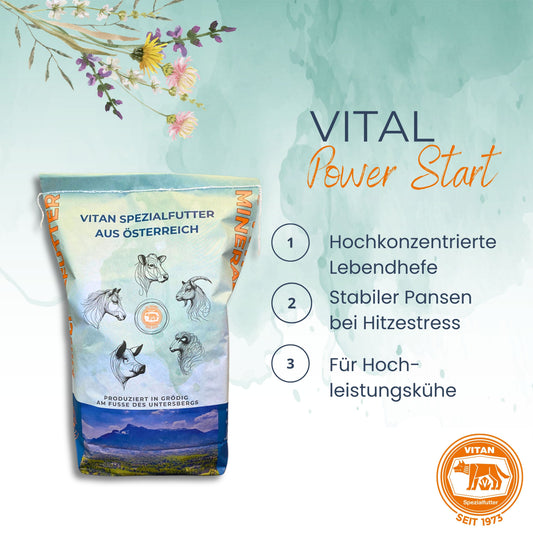 VITAN Vital Power Start – Ergänzungsfutter mit hochkonzentrierter Lebendhefe für Milchkühe bei Hitzestress, 20 kg